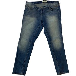 Torrid Medium Wash Fade  Straight Leg Blue Jeans-  16